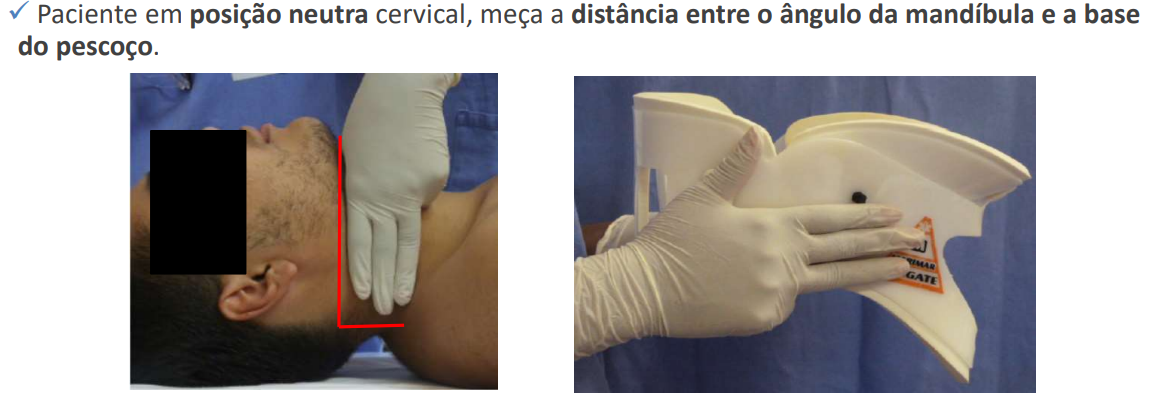 Criteria for collar selection (S, M, L)